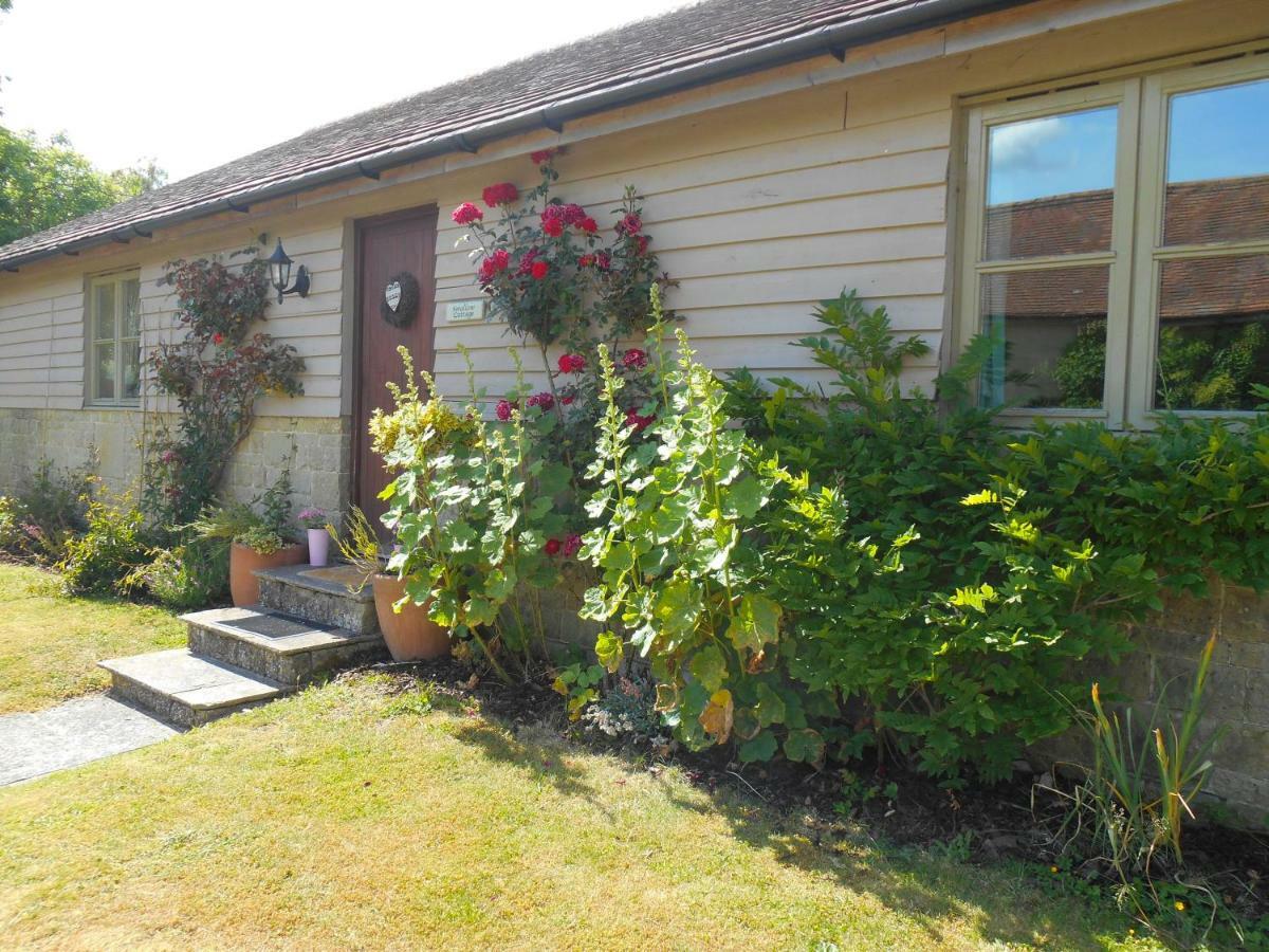 Spacious Swallow Cottage Tisbury Eksteriør bilde